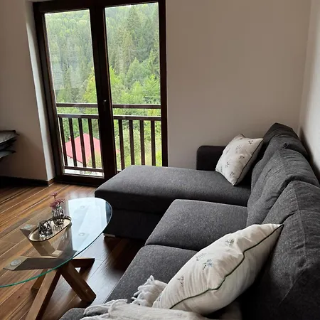 Apartman Slavina Vrela *