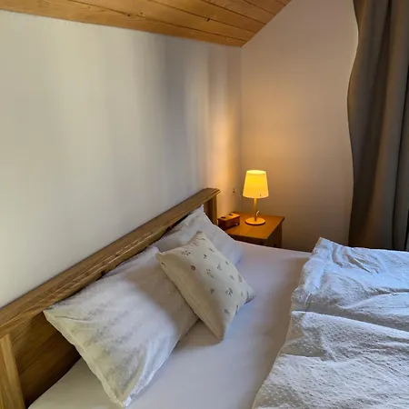 Slavina Vrela Apartman *