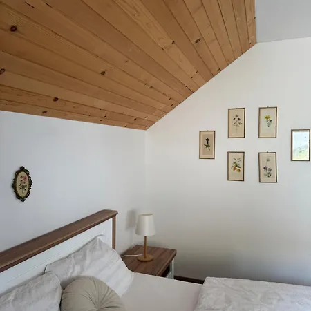 Slavina Vrela Apartman Gornji Orasac