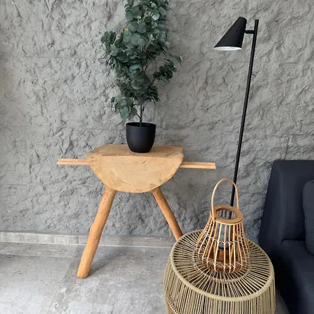 Slavina Vrela Apartman Gornji Orasac