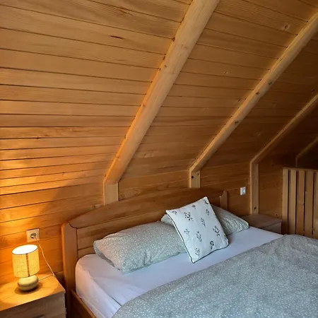 Apartman Slavina Vrela *